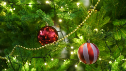 Ранняя подготовка к Новому году в городах вызвала споры у россиян