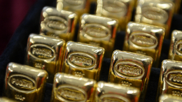 Лишилась 74 миллионов: в Омске пенсионерка отдала мошенникам семь слитков золота