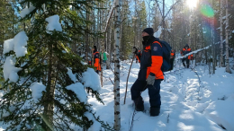 Спасатели обыскали еще шесть квадратных километров в поисках семьи Усольцевых