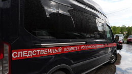 Стая собак загрызла десятилетнего мальчика в Красноярском крае