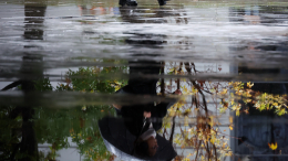 Стоит брать зонты? Синоптики рассказали о погоде в Москве 26 октября