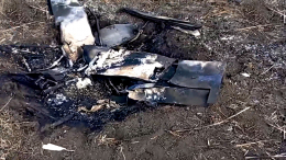 Новый чешский беспилотник FPV-2 уничтожен системой «Купол Донбасса»