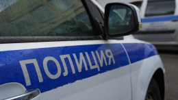 В лесу под Петербургом нашли загадочную колбу с младенцем в формалине