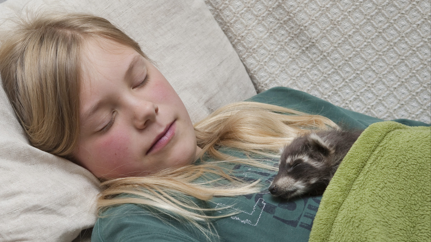 Что такое сон