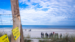 Достойный Богов: на Балтике нашли кинжал возрастом 2800 лет с небесными узорами