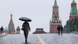 Что изменится в жизни россиян с 1 ноября 2025