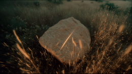 Просто лежи: геймеры нашли новый способ бороться с выгоранием