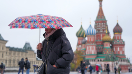 Аномалии и дожди: прогноз погоды на ноябрь 2025 года в России