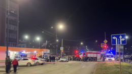 «Убил?» — задавивший двух девочек в Ревде водитель не понимает, что натворил