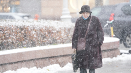 Синоптик рассказал, когда в Москве ожидается первый снег