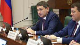 Рюмин представил в Совете Федерации результаты работы Группы «Россети»