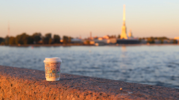 В Петербурге мужчина утонул в Неве неподалеку от Кунсткамеры