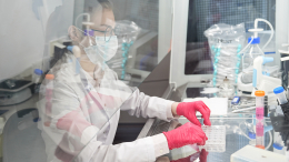 Бастрыкин потребовал доклад о расследовании заражения гепатитом на Камчатке