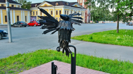 Птица Говорун, день борьбы с инсультом и псориазом: что отмечают 29 октября