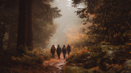 Духовный туризм или психологическая ловушка? Как ретриты превращаются в бизнес на доверии