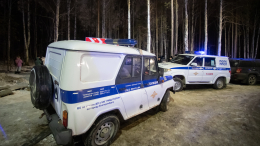Полиция прочесывает лес Екатеринбурга в поисках человеческой головы