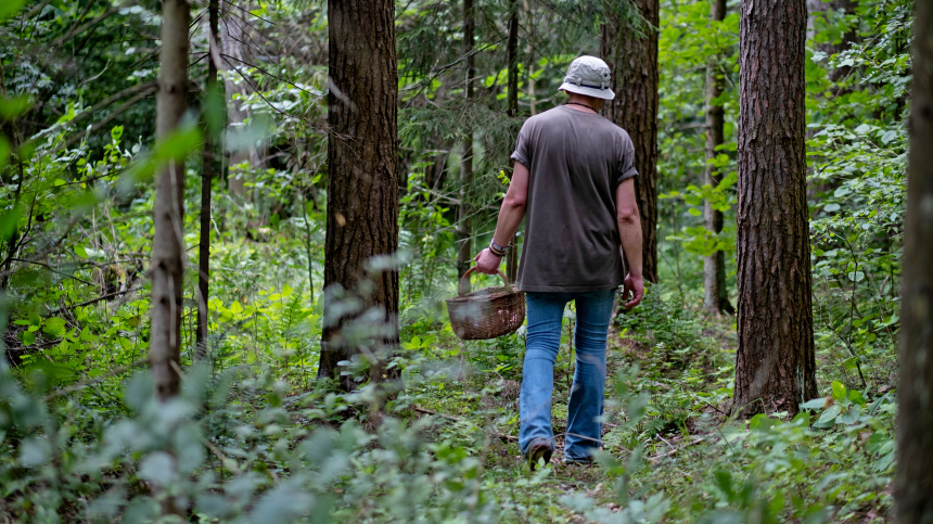 Последние новости о пропавшей семье Усольцевых
