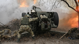 Гаубица «Д-30» разгромила вражеский опорный пункт. Лучшее видео из зоны СВО