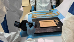 Неожиданная находка: в Испании у консьержки обнаружили пропавшую картину Пикассо