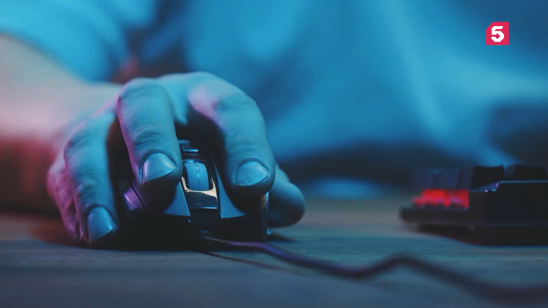 Восемьдесят четвертый выпуск