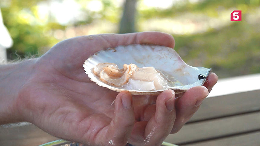 Восемьдесят шестой выпуск