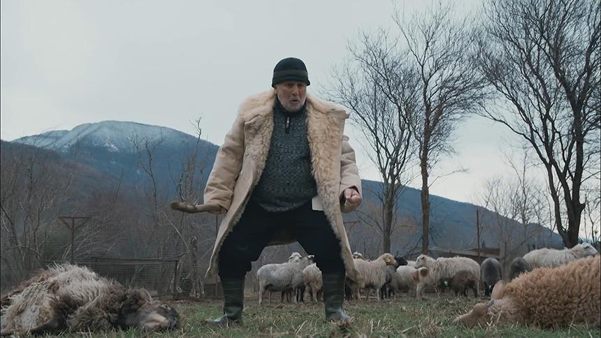 «Эльбрус. Бедная овечка»