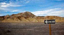 Тайна пустыни: в Неваде обнаружили останки более 300 человеческих тел