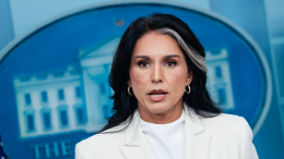 «Универсальный подход»: Тулси Габбард высказалась о внешней политике США