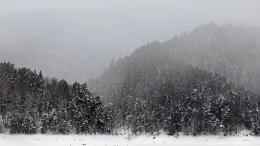Сын пропавших в красноярской тайге Усольцевых раскрыл правду под гипнозом