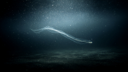 Ученые нашли на дне океана 30 тысяч необычных видов существ