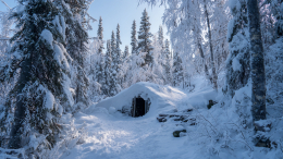 Егерь предположил, что Усольцевы могли укрыться в браконьерской избушке