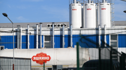 Акции компаний «Яшкино» и «Кириешки» передали в доход государства