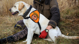 «Из ряда вон выходящее»: названа необычная деталь в деле о пропаже Усольцевых