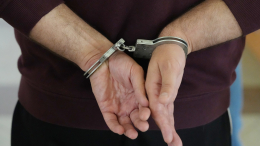 Мужчина создавал видео для взрослых с обезьянами и получил срок