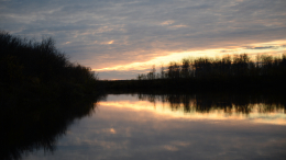 Убил и выбросил в реку: следователи раскрыли дело спустя 16 лет в Свердловске