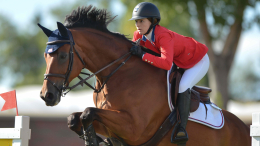 Международная федерация конного спорта допустила россиян до командных турниров