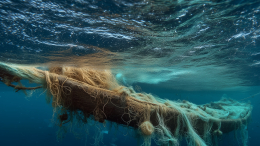 Под Пермью нашли запутанные в рыболовных сетях тела четверых мужчин