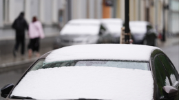 Когда ждать снег в Москве и Петербурге: прогноз погоды на ноябрь 2025 года