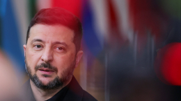 В Европе заявили, что киевский режим совершает преступления против населения Украины