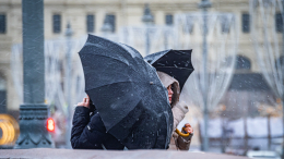 «Поднять не получится»: как поддержать иммунитет в межсезонье