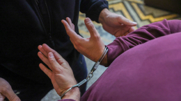 В Японии арестовали мужчину, купившего 12-летнюю девочку