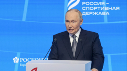 Путин поблагодарил партнеров за восстановление прав Паралимпийского комитета РФ