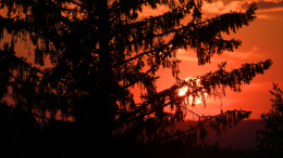 Уехал к сыну? Нашелся тайный наследник пропавшего в тайге Усольцева