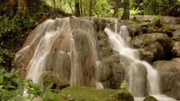 На виду у всех: в Таиланде арестовали израильскую пару за секс у водопада