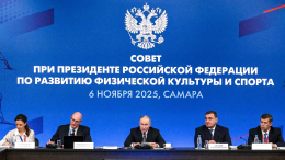 Заседание Совета по развитию физической культуры и спорта в Самаре: итоги