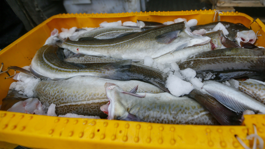 Зачем Норвегия угрожает России