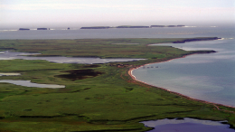 Двусмысленное высказывание: слова министра Японии о Курилах спровоцировали скандал в стране