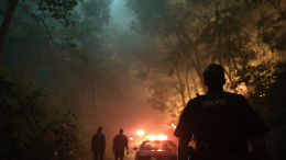 Четверых сотрудников ресторана нашли мертвыми в лесу после ночной смены