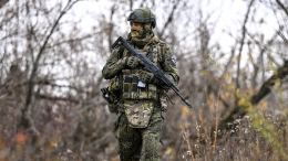 ВС РФ освободили населенные пункты Сладкое и Новое в Запорожской области