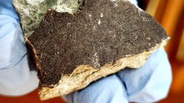 Ярко-зеленый объект: найдены куски метеорита, пролетевшего над Москвой в октябре